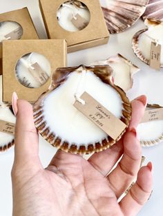 5 Pcs Beach Wedding Sea Shell Candle Favors, Wedding Favors for Guests, Wedding Favors, Candle Favors With Box, Beach Party Favor, Ocean - Etsy Small Beach Wedding Ideas Budget, Tropical Wedding Favors For Guests, Ocean Themed Party Favors, Ocean Party Favors, Sea Shell Candle, Candle Favors Wedding, Tropical Wedding Favor, Beach Theme Wedding Favors, Beach Party Gifts