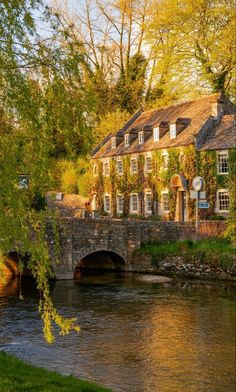 an old stone bridge over a river in front of a house with ivy growing on it