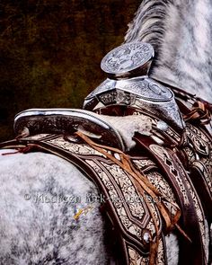 a close up of a horse's saddle and bridle