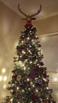 a christmas tree decorated with ornaments and lights