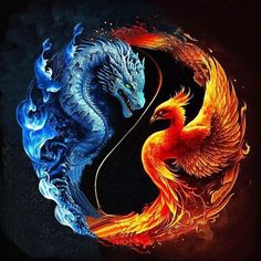 two fire and ice dragon sitting on top of each other