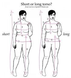 a woman's body and measurements for short or long torsos