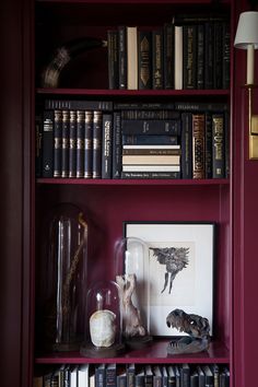 a bookshelf filled with lots of books next to a lamp and other items