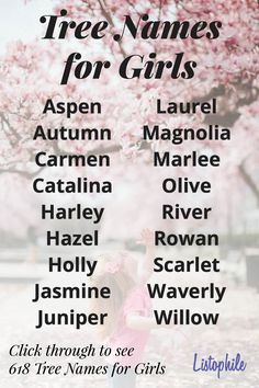 a poster with the names of three names for girls in front of cherry blossom trees