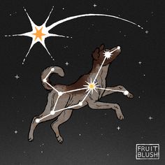 a drawing of a dog that is flying in the sky with stars on it's back