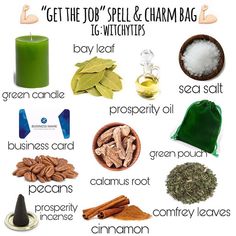 Tips for Witches Everywhere! ✨ on Instagram: “💰💪🏻 GET THE JOB SPELL 💪🏻💰 Specifically designed to get hired at a specific job / company. Intent is very important in any spell work.…” Job Spell, Hoodoo Conjure, Hoodoo Spells, Spells For Beginners, Green Witchcraft, Spell Jars, Spell Work, Luck Spells, Witch Spirituality