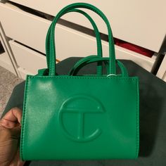 Green Telfar Mini Green Telfar, Telfar Bags, Green Purse, Underarm Bag, Cute Purses, Mini Bags, Brown Skin, Mardi Gras, Mini Bag