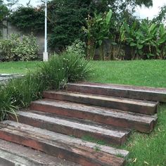 some wooden steps in the grass and bushes