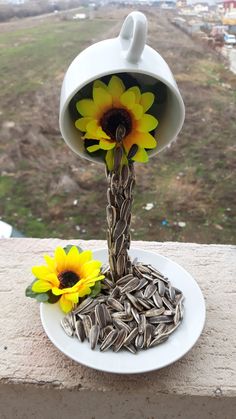 sunflowers and seeds are placed on a white plate with a bird feeder in the background