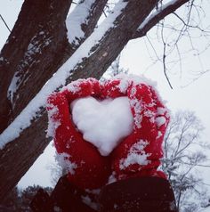 someone is holding up a heart - shaped snowball in front of a snowy tree