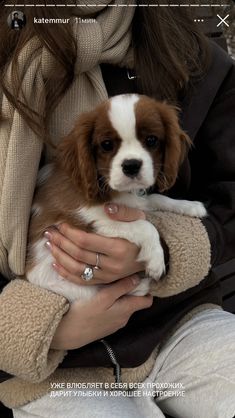 a woman is holding a puppy in her lap while wearing a jacket and scarf,