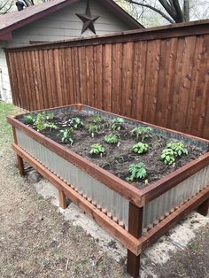 a raised garden bed with plants growing in it