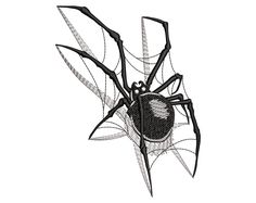 a black and white drawing of a spider with webs on it's back