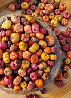 a wooden bowl filled with lots of different colored pumpkins on top of a table