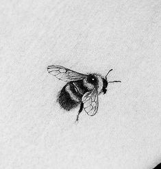 a black and white photo of a bee