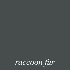 the words raccoon fur are written in white on a dark gray background,