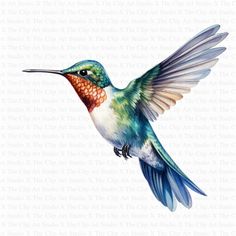 a colorful hummingbird flying in the air with its wings spread out and it's beak