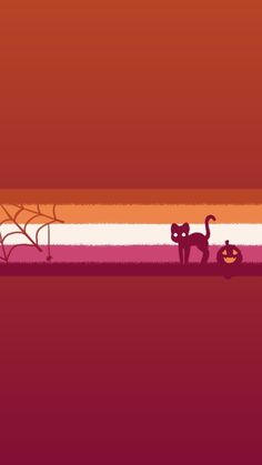 an orange and purple background with cats, spider webs and pumpkins on it