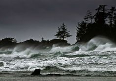 an ocean with waves crashing on the shore and trees in the background at night time