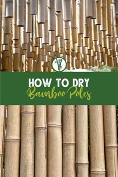 Drying bamboo stems hanging and standing with the text: How To Dry Bamboo Poles Bamboo Furniture Outdoor, Bamboo Art Diy, Bamboo Garden Fences, Diy Bamboo, Growing Bamboo, Bamboo Privacy, Bamboo Room Divider, Bamboo House Design