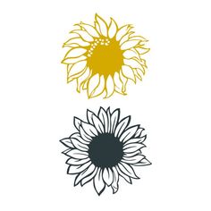 three sunflowers in different colors on a white background