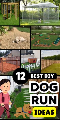 the best diy dog run ideas