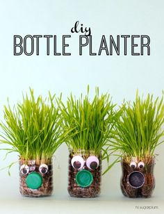 three potted plants with googly eyes and grass growing out of them are the words diy bottle planter