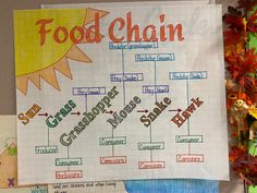 the food chain chart is on display in front of some autumn leaves and other decorations