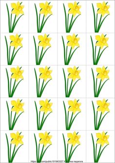 yellow daffodils are arranged in rows to form the shape of a flower