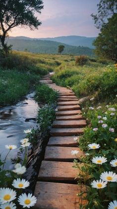 a wooden walkway with flowers growing on the side and water running down it, in front of mountains