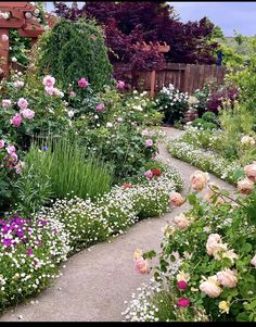 a garden filled with lots of different types of flowers