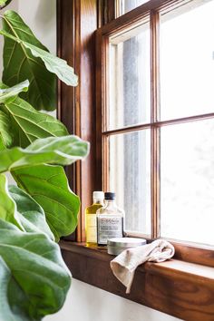 a window sill filled with lots of green leaves next to a potted plant