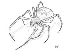 a black and white drawing of a spider with its head turned to look like it is sitting