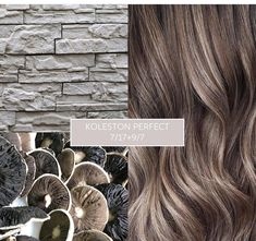 Wella Formulas Lowlights, Milk Tea Hair Color Formula, Mushroom Bronde Formula, Mushroom Blonde Hair Color, Light Ash Brown Hair Color, Wella Formulas, Hair With Brown Highlights