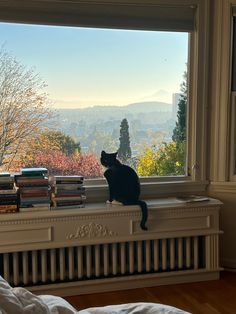 a black cat sitting on top of a window sill next to a book shelf