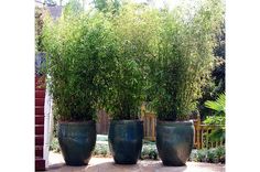 three large planters sitting in the middle of a patio with plants growing out of them