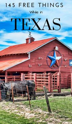 Things To Do In Texas, Rv Travel Destinations, Travel Venice, Travel Michigan, Texas Vacation, Frugal Travel