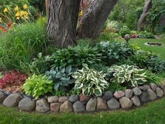 a garden with rocks, plants and trees in the background is shown on this lawn