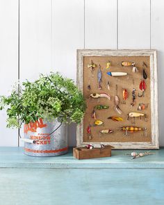 a wooden frame with fishing lures on it and a potted plant next to it