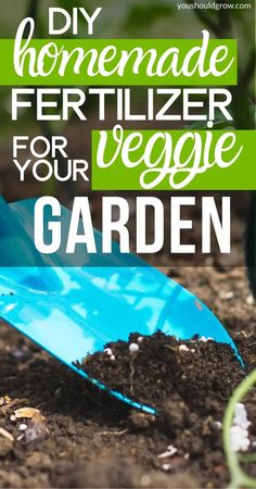 a blue shovel and some dirt with the words diy homemade fertilizer for your garden