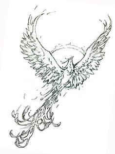 a drawing of an eagle flying with its wings spread