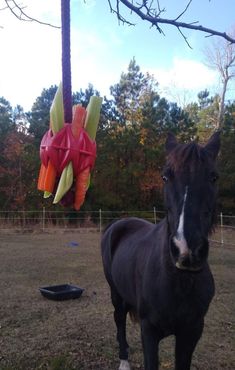 a black horse standing in a field next to a red and yellow origami dragon