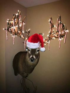 a deer wearing a santa claus hat with candy canes on it's antlers