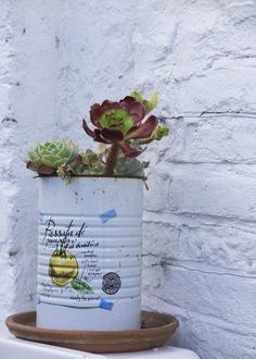 a potted plant sitting on top of a white toilet