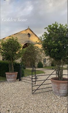 two potted trees in front of a house with a gate that says golden hour