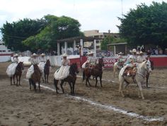 a group of people riding on the backs of horses in a dirt field next to trees