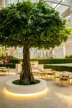 a large tree sitting in the middle of a room filled with tables and chairs under a glass ceiling