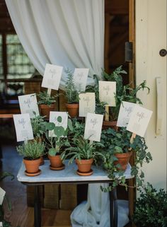 several potted plants with place cards on them