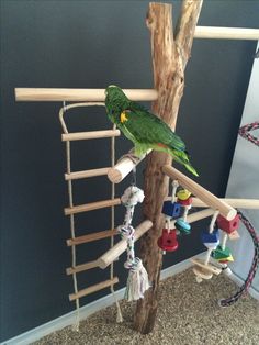 a green parrot sitting on top of a wooden pole next to a toy bird feeder