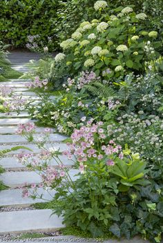 a stone path surrounded by flowers and greenery